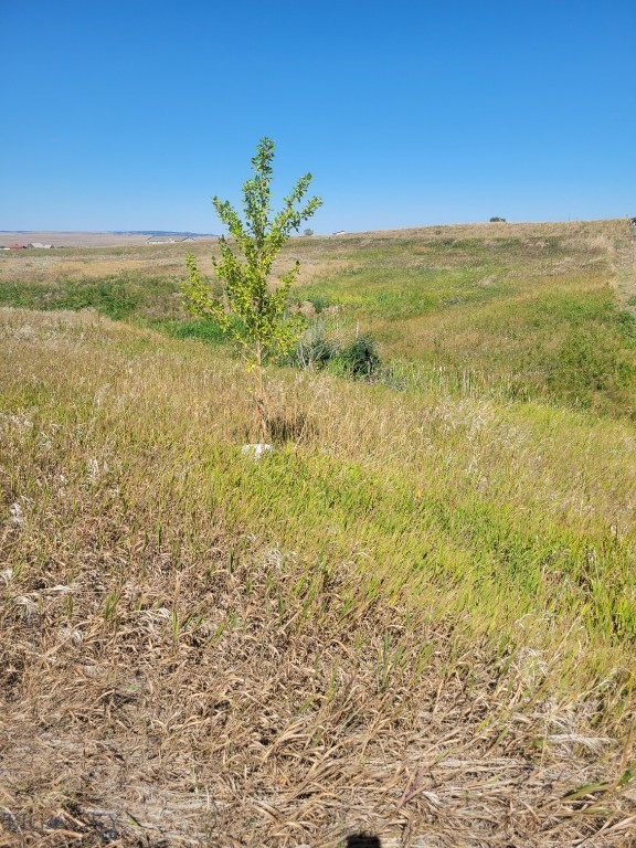 148 Internet Access, Roberts, Montana