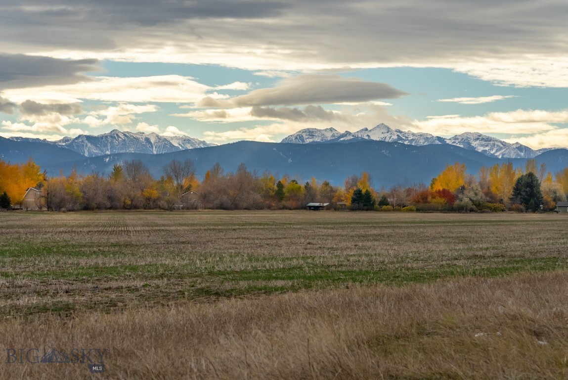 TBD  HARPER PUCKETT, Bozeman, Montana