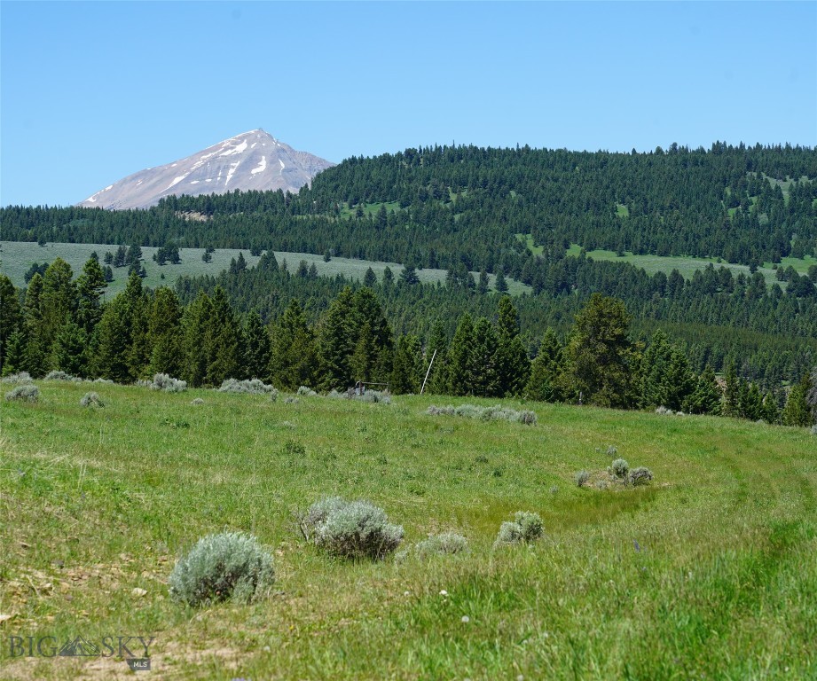 TBD Timberloft, Big Sky