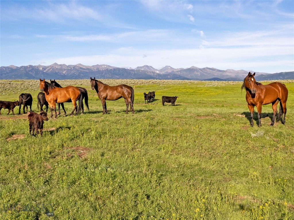 TBD Elk Creek Road, Wilsall, Montana