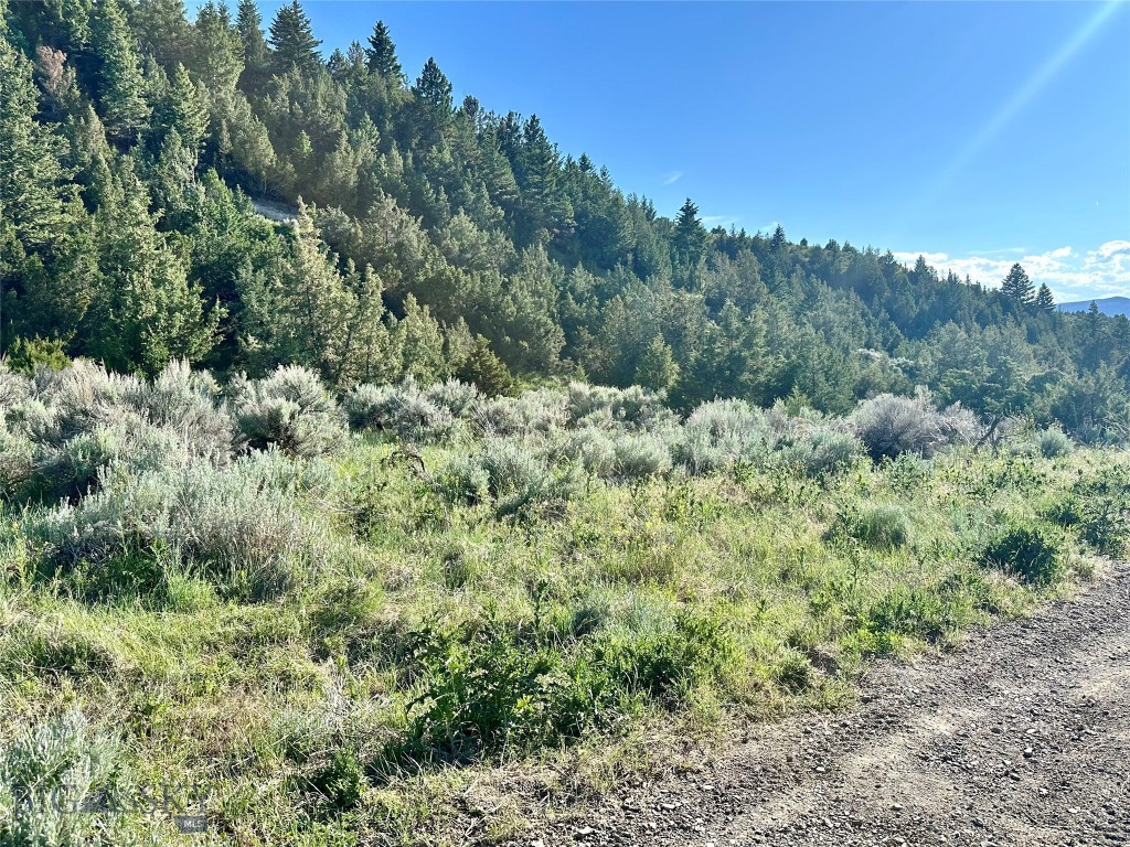 Lot 290 TBD Broken Creek Road, Three Forks