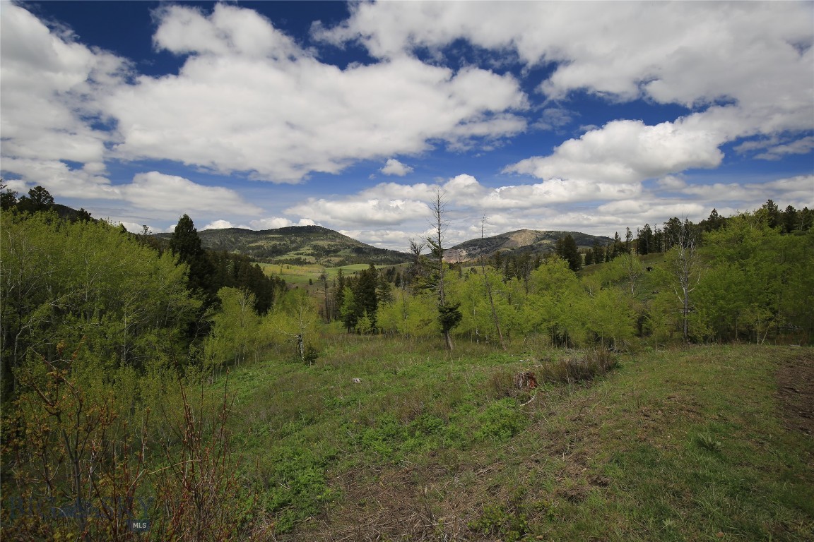 TBD Petersen Drive, Wilsall