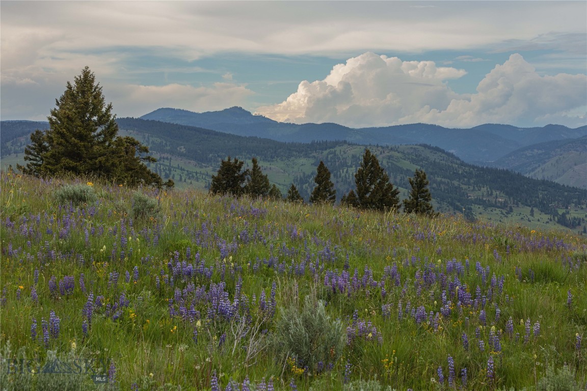 3 Tract, Bull Elk, Drummond
