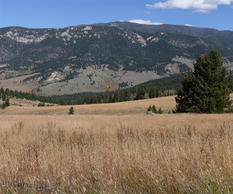 TBD Timberloft, Big Sky