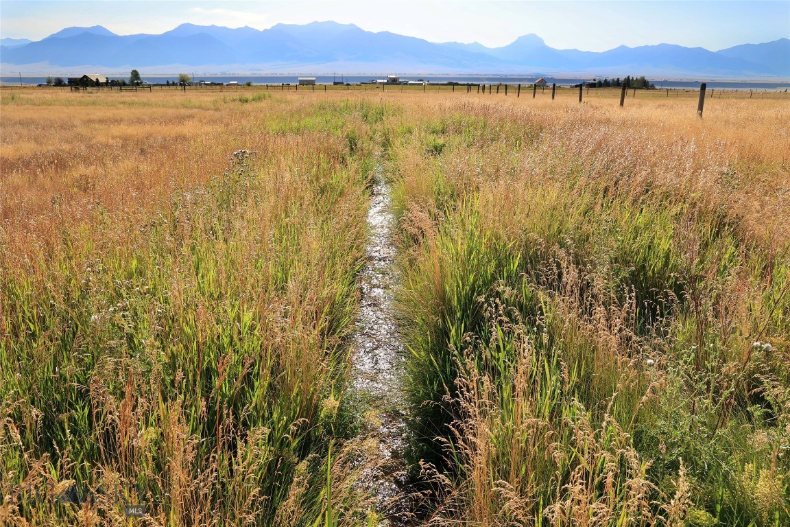 TBD Hayfield Loop Trail/Lonesome Trail, Ennis