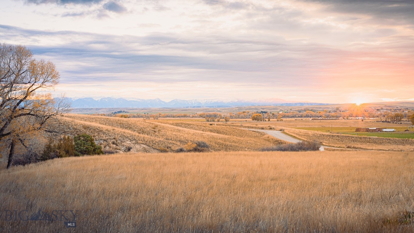 2 Daniel, Three Forks