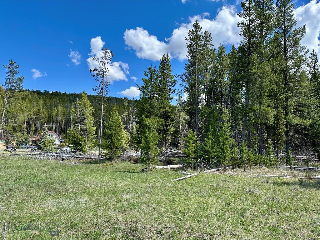 Lot 47 Lodgepole Lane W, Anaconda