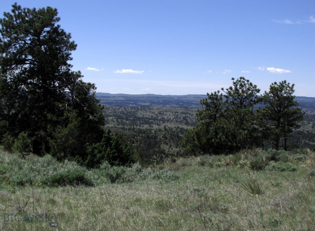 NHN Lone Rock Canyon Lane, Hysham, Montana