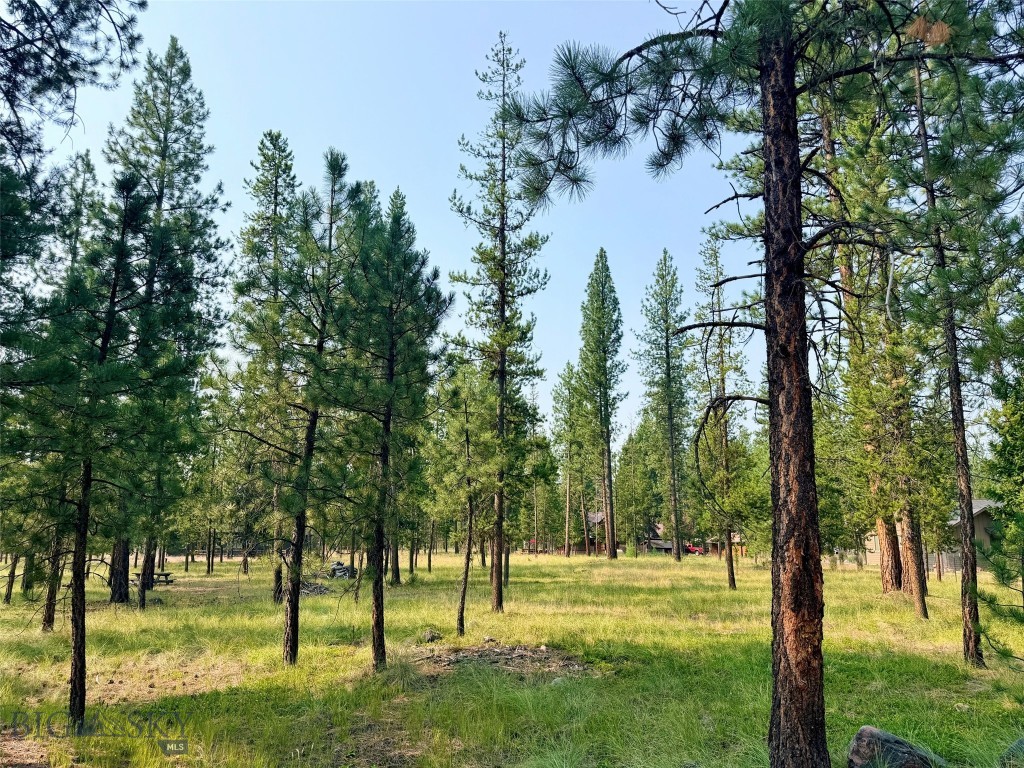 723 Timberlane, Seeley Lake