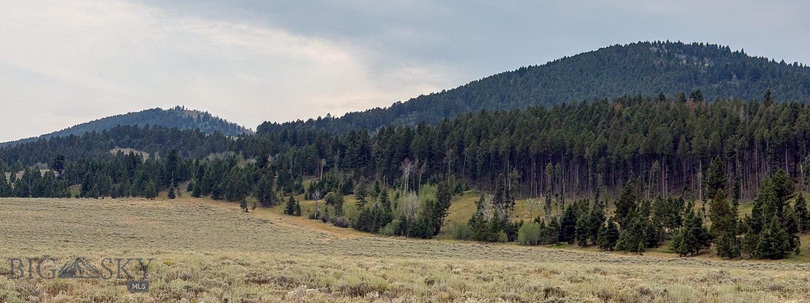 TBD S Valley Road, Lima, Montana