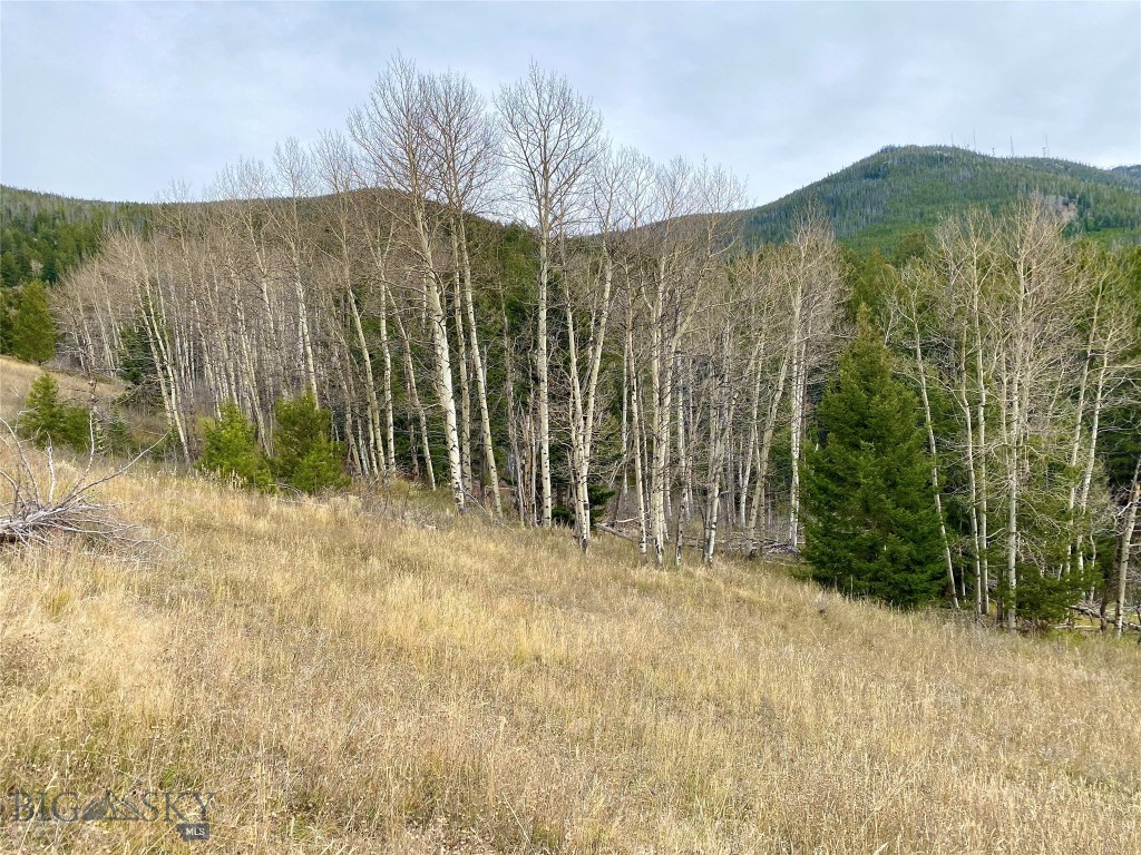 LOT 34 Horse Canyon Road - Cold Spring, Butte, Montana