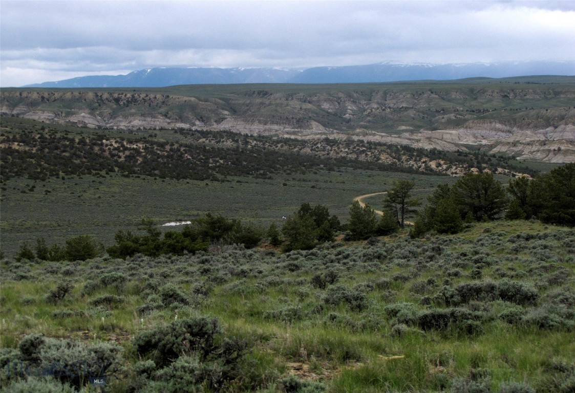 tbd Cottonwood Road, Bridger