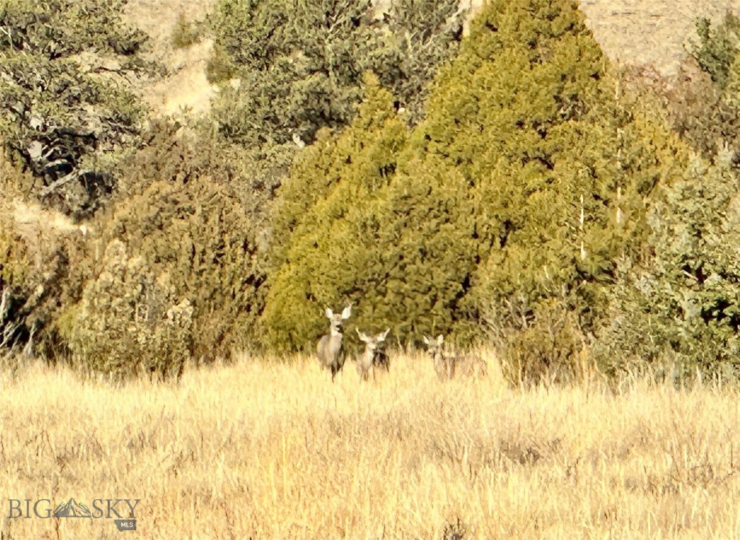 LOT 528 TBD Hayden Taylor Road, Three Forks