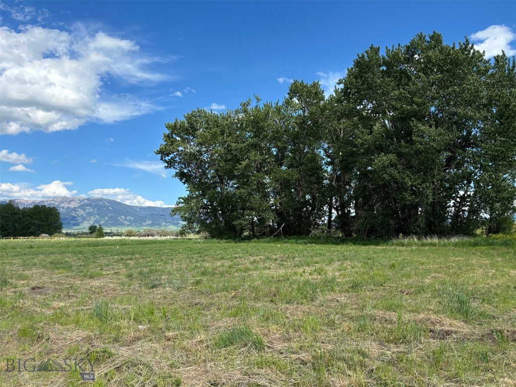Lot 15 S Riparian Way, Bozeman