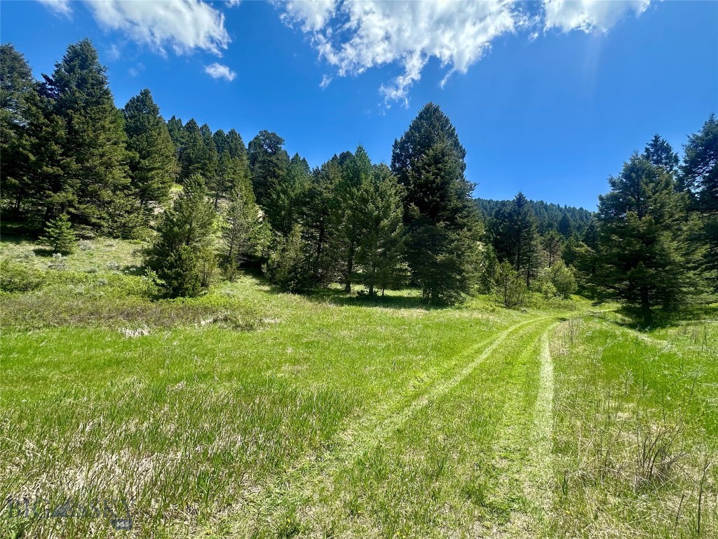 Lot 12 TBD Round Pole Dr, Three Forks