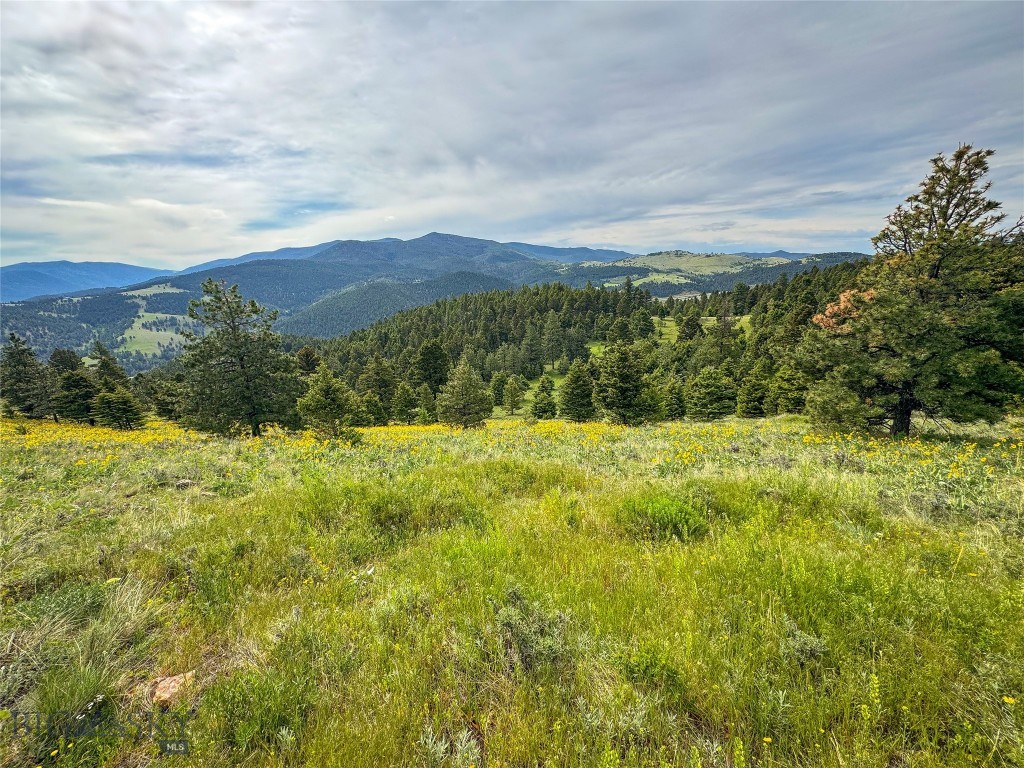 TBD (36.4+/- acres) Elkhorn Mountain View Road, Jefferson City
