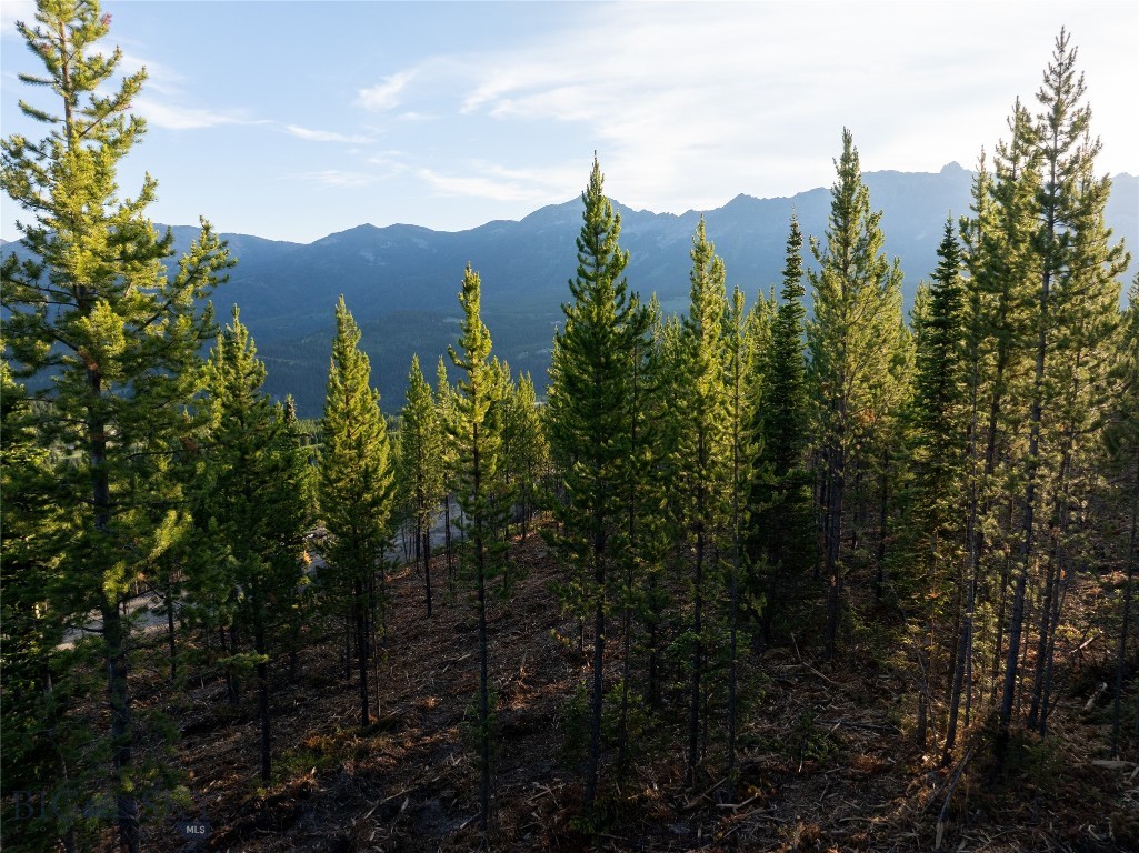 TBD Sawtooth Road Lot 19, Big Sky