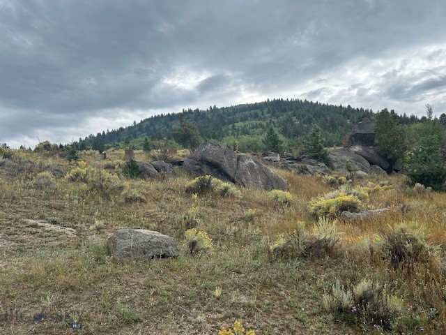 LOT 14/15 Mammoth, Butte