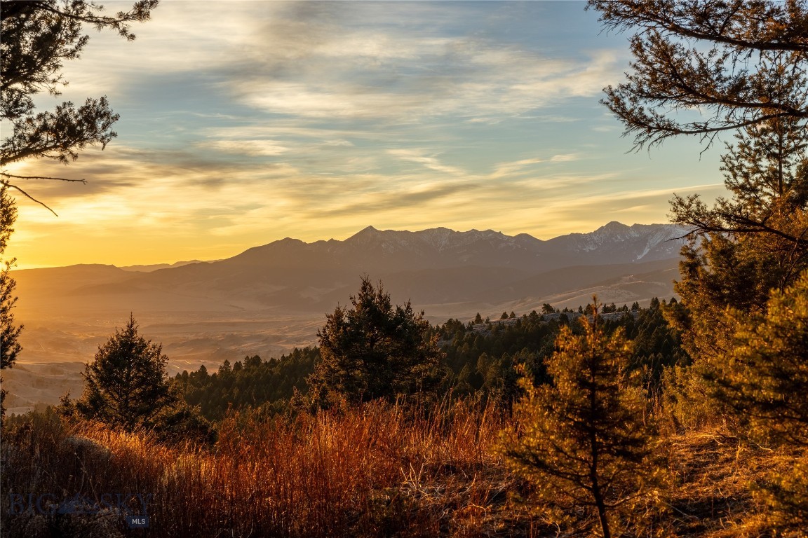 TBD Sunflower Lane LOT 4 Lane, Bozeman