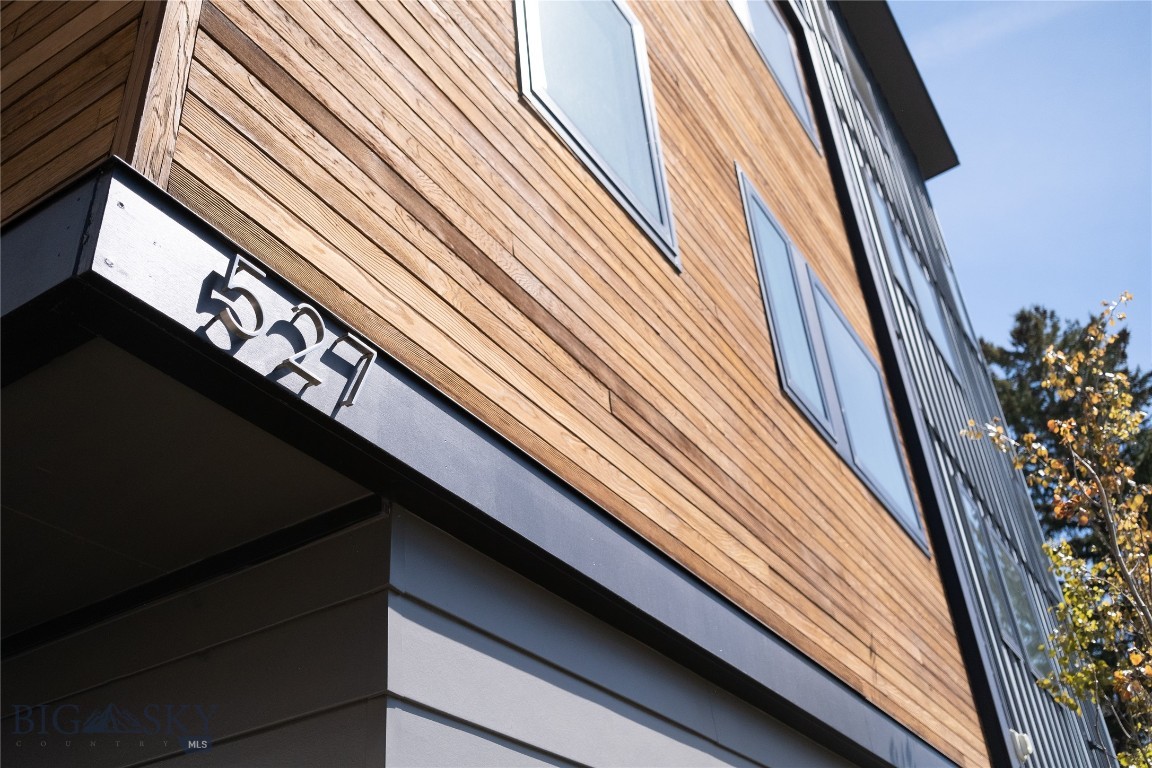 527 E Mendenhall Street 1, Bozeman