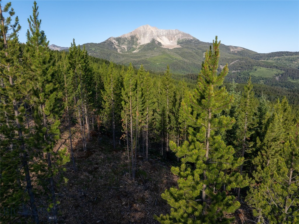 TBD Sawtooth Road Lot #12, Big Sky, Montana