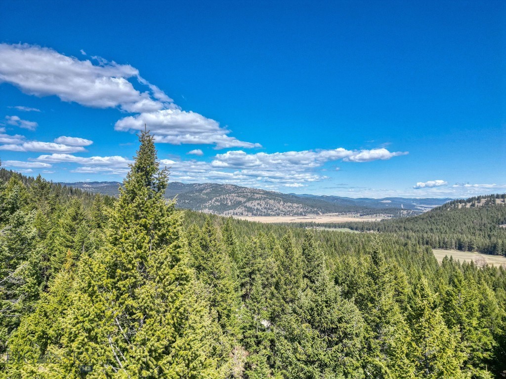 2263 Truman Heights, Kila