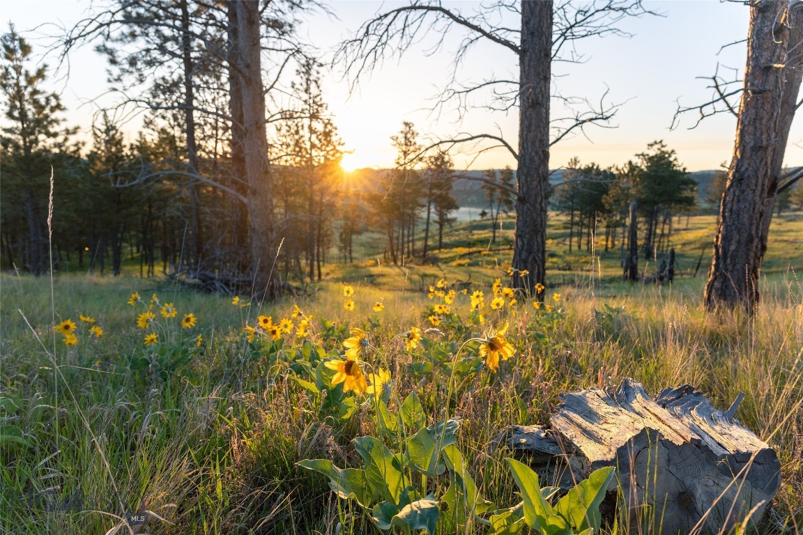 151 Big Clearing Road, Roundup, Montana