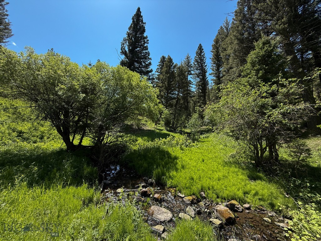 TBD (40+/- acres) Hope Road, Helmville
