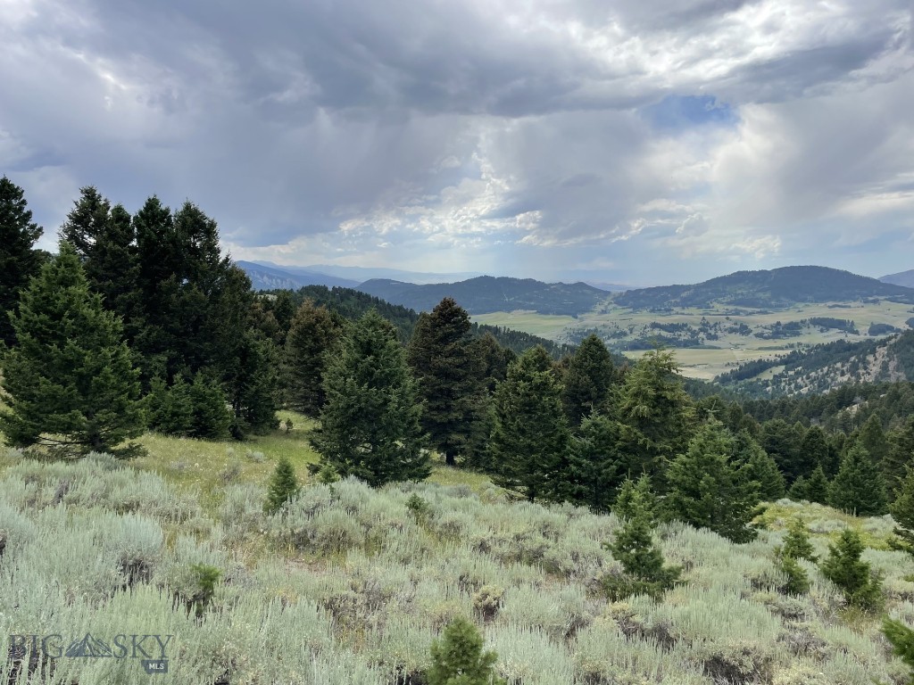 18 Blue Camas Road, Bozeman