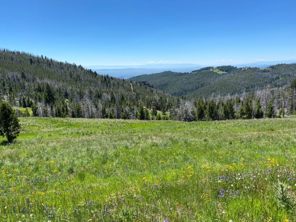 4746 Indian Creek Road, Townsend