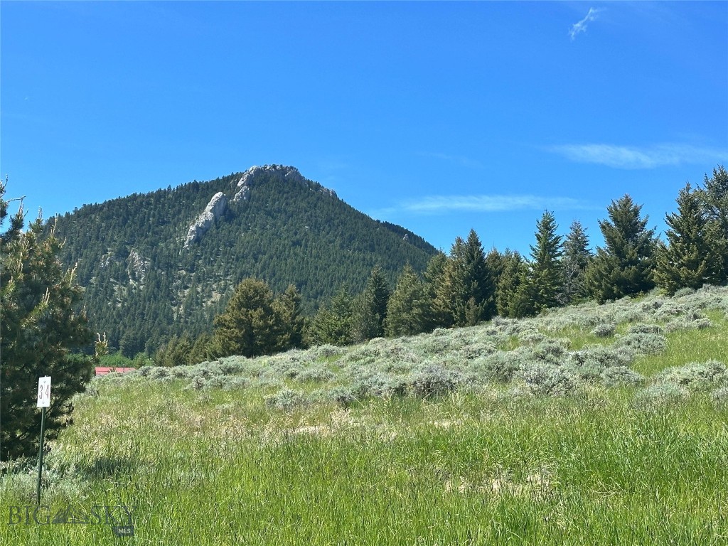 NHN Wilderness Lane, Red Lodge