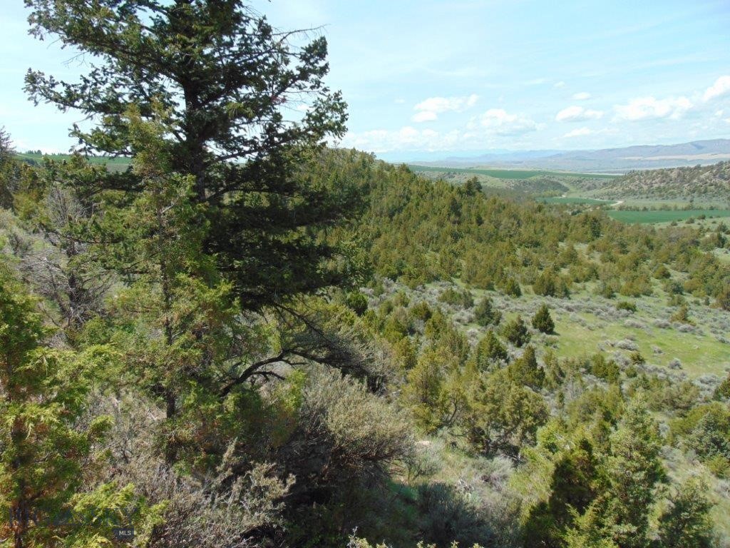 TBD Lone Wolf Trail, Three Forks, Montana