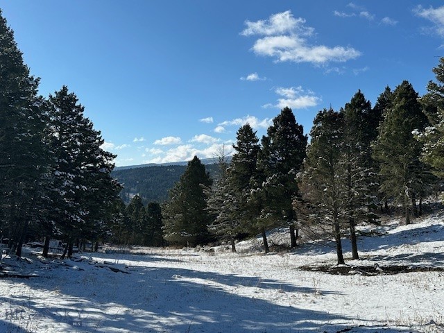 14850 Pony Creek Road, Bozeman