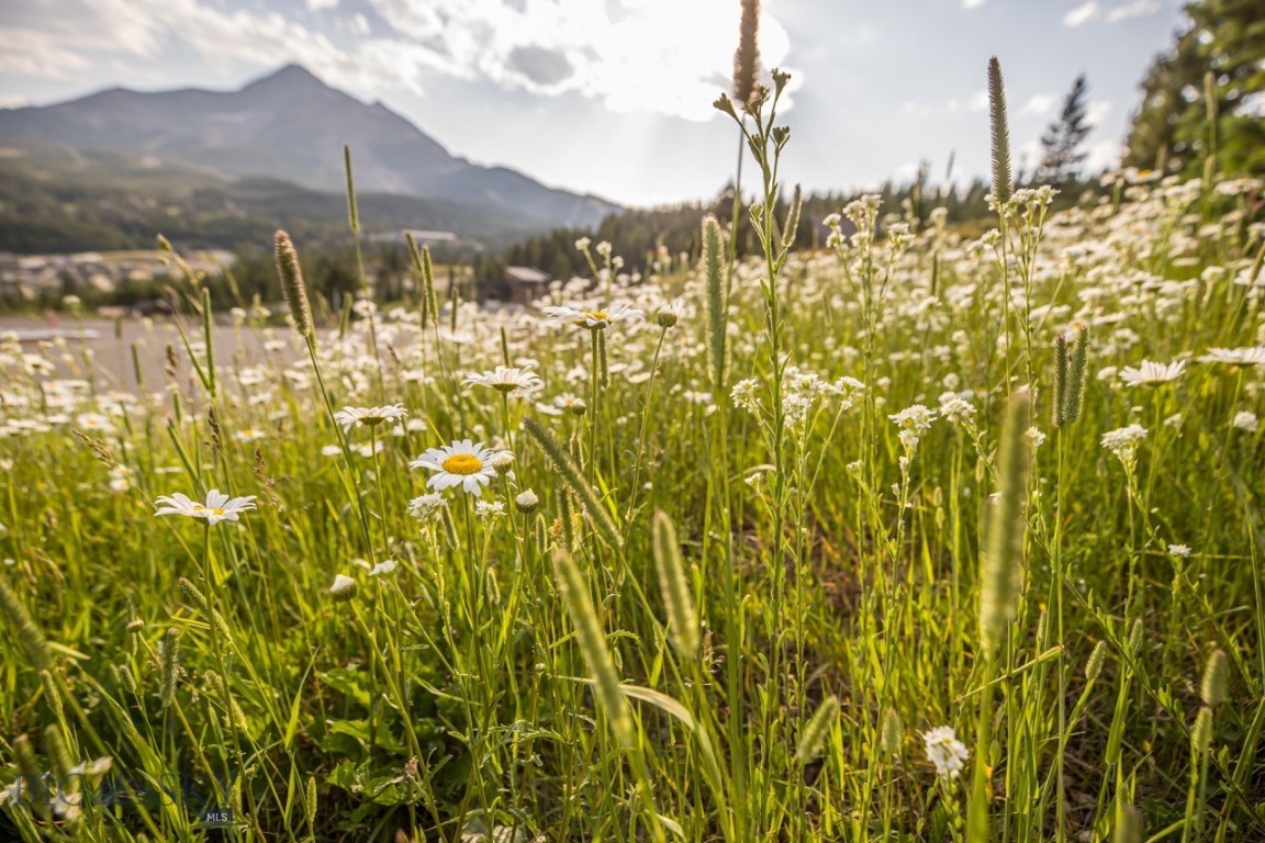 Lot 23 Washakie Road, Big Sky