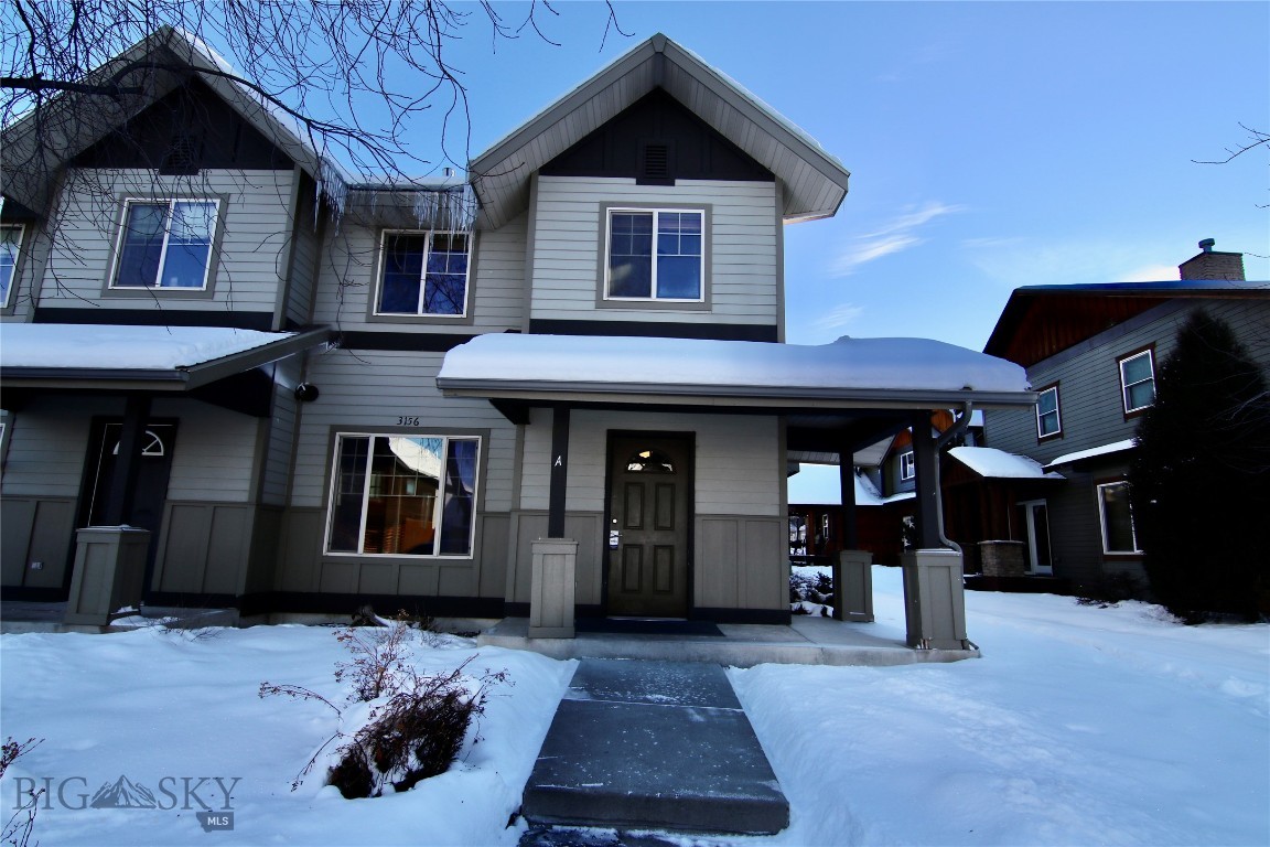 3156 Catkin A, Bozeman