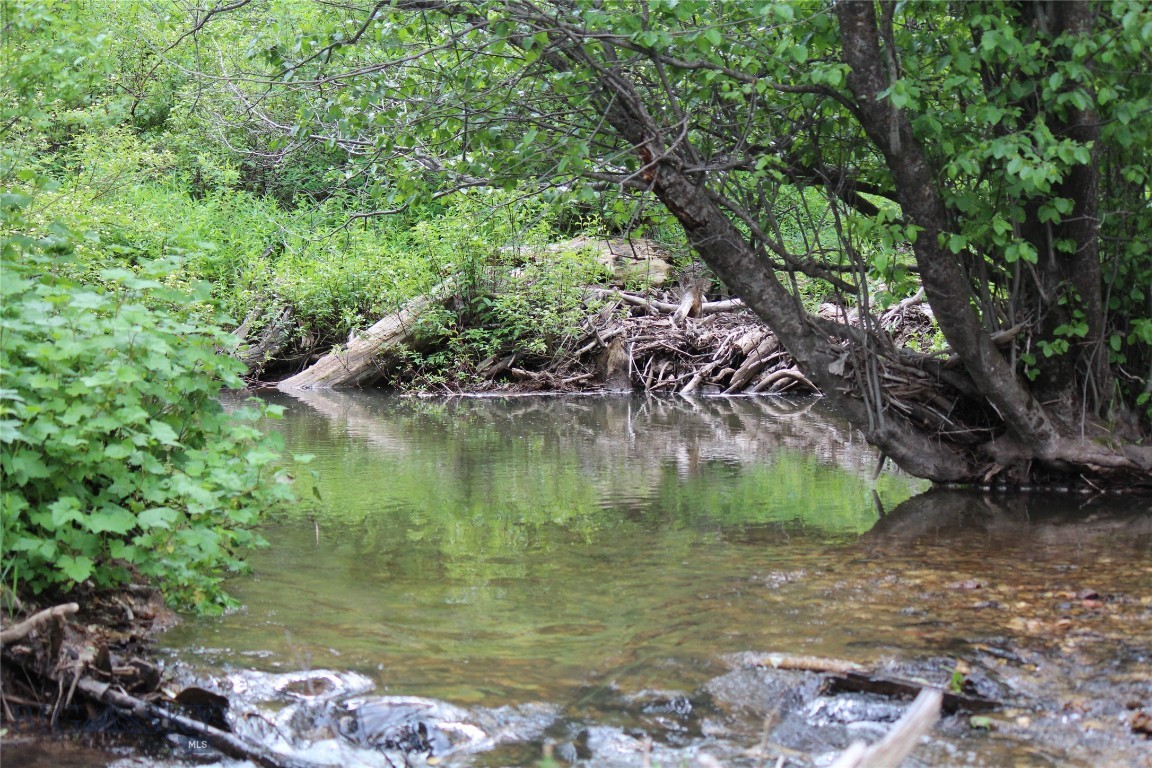 25 Wildcreek Trail, Bozeman