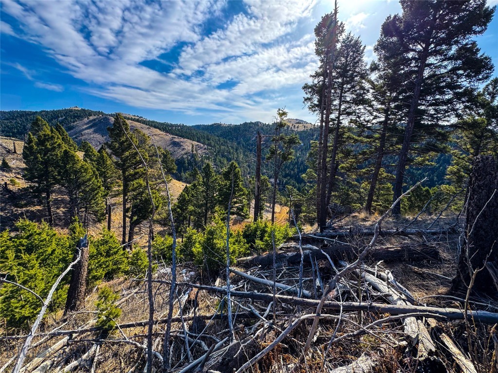 TBD (31.2 +/- Ac) High Ore Road, Boulder
