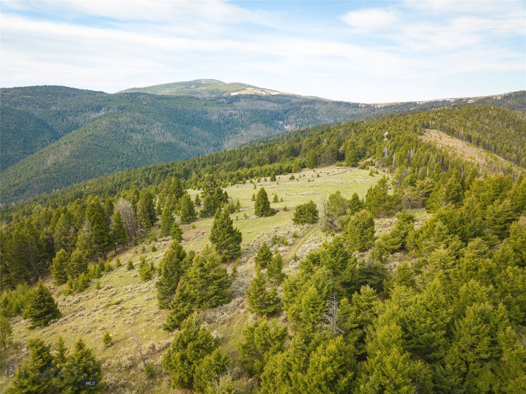TBD (58+/- acres) Ottawa Gulch Road, Canyon Creek