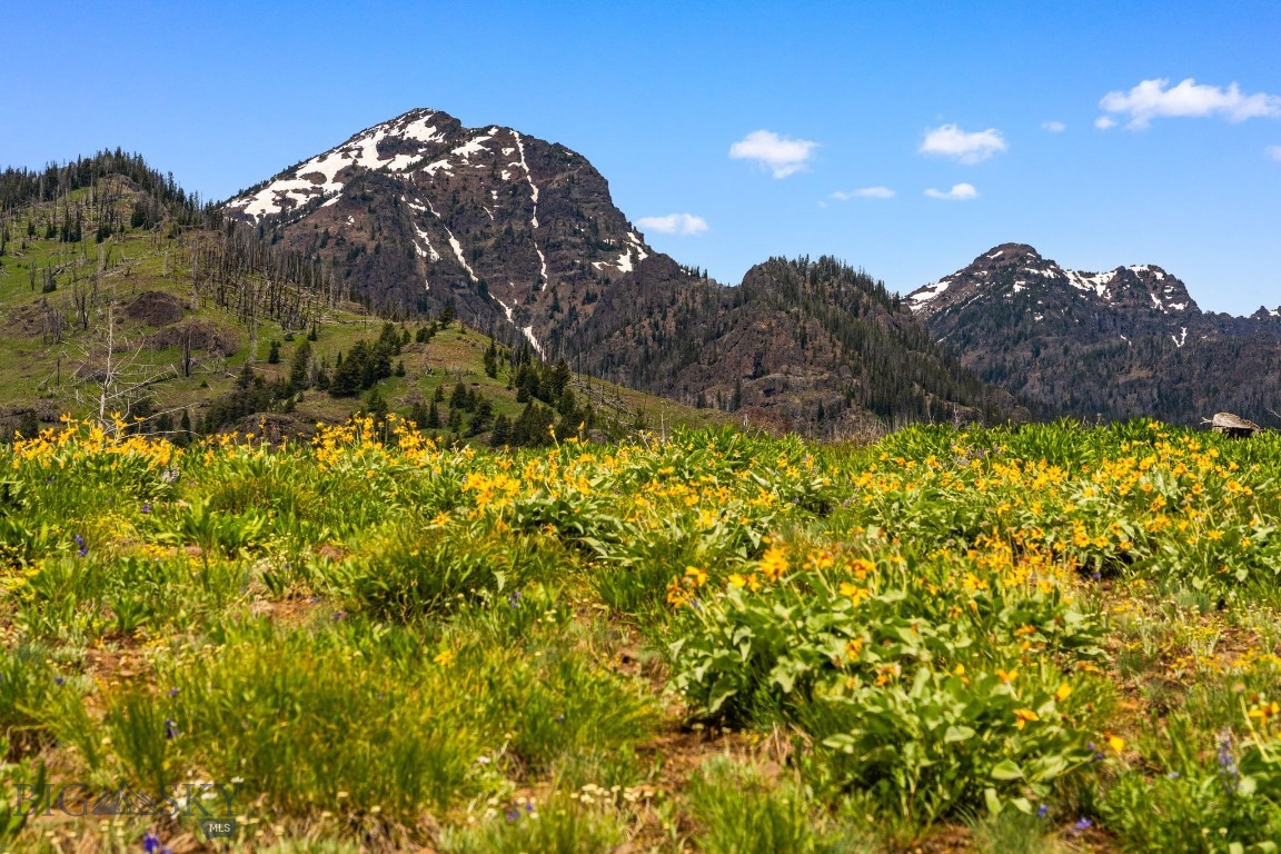 NHN Peak Point Drive Lot 1, Livingston