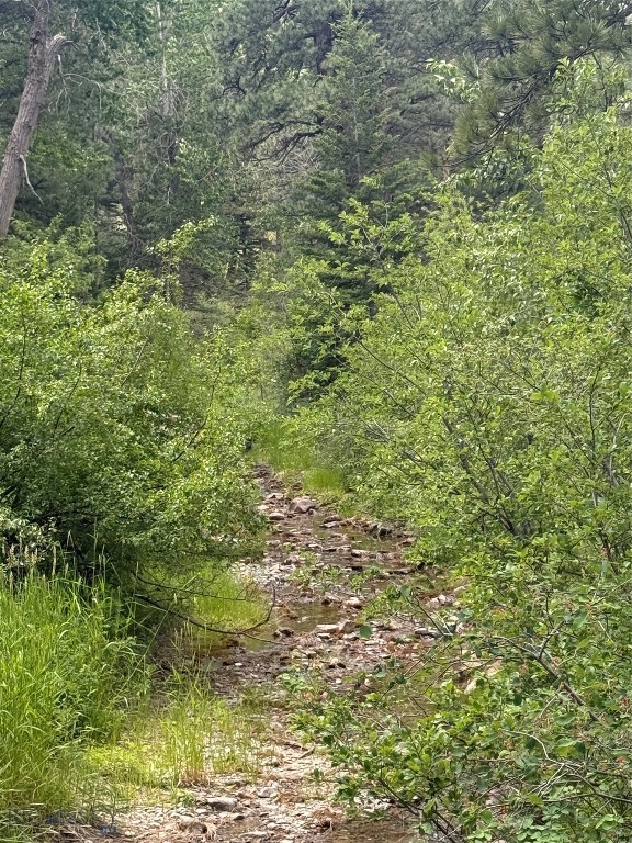 NHN Little Wolf Creek Road, Wolf Creek