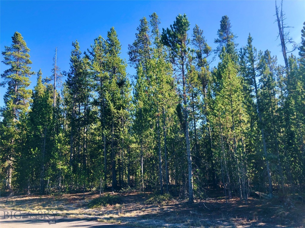NNN Cascade Avenue, West Yellowstone