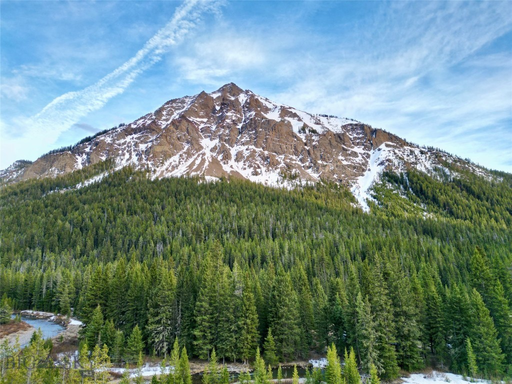 TBD Larson Lane, Silver Gate, Montana