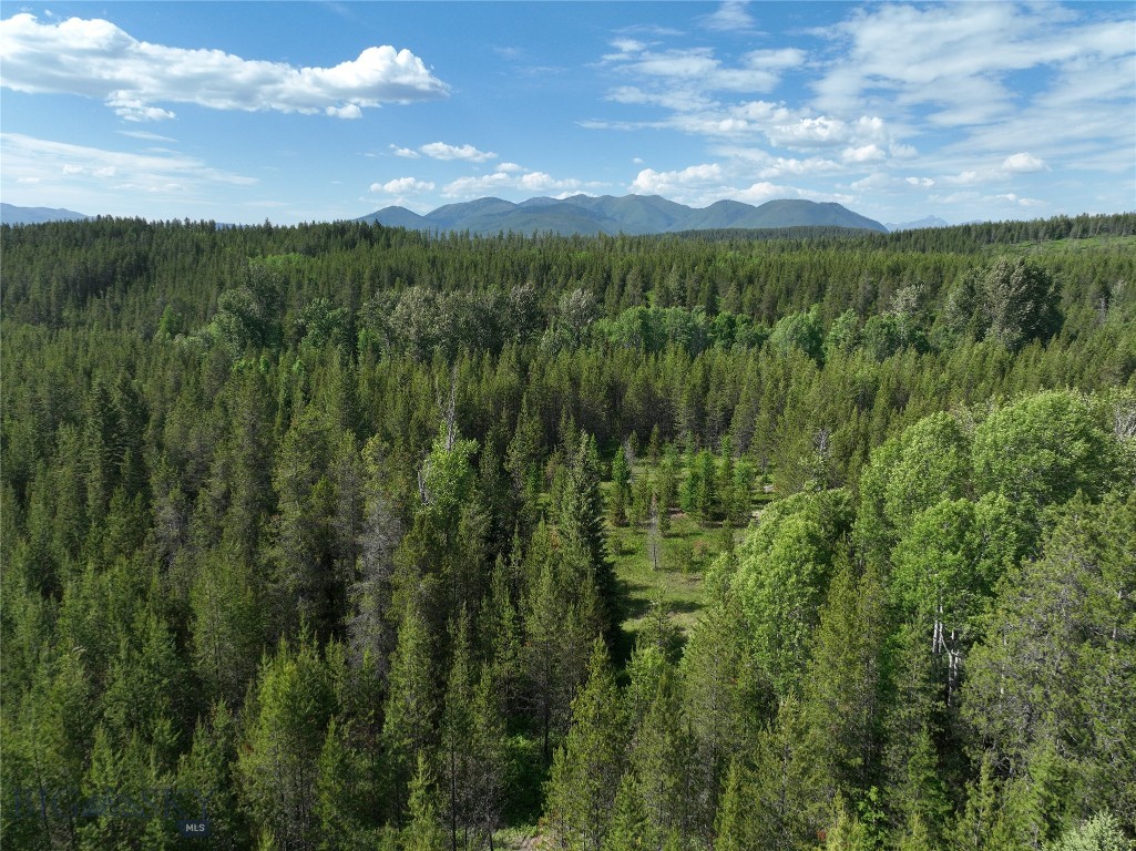 298 Kuzmic Lane, Coram, Montana