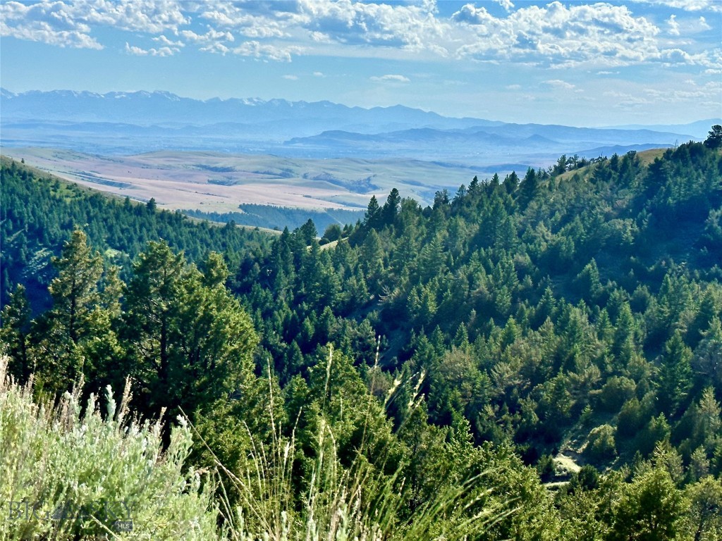 Lot 327 TBD Lone Wolf Trail, Three Forks
