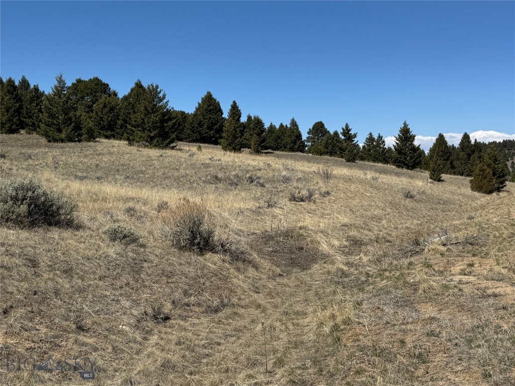 Lot 86 Downhill Lane, Butte