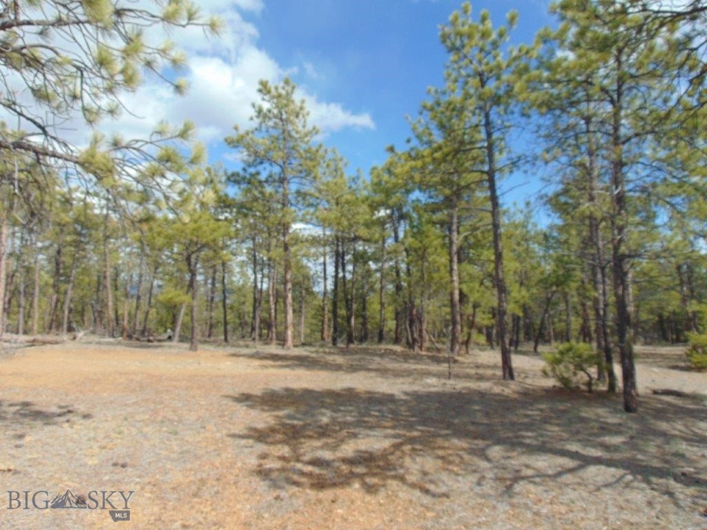 29 Sweetwater Rd, Helena