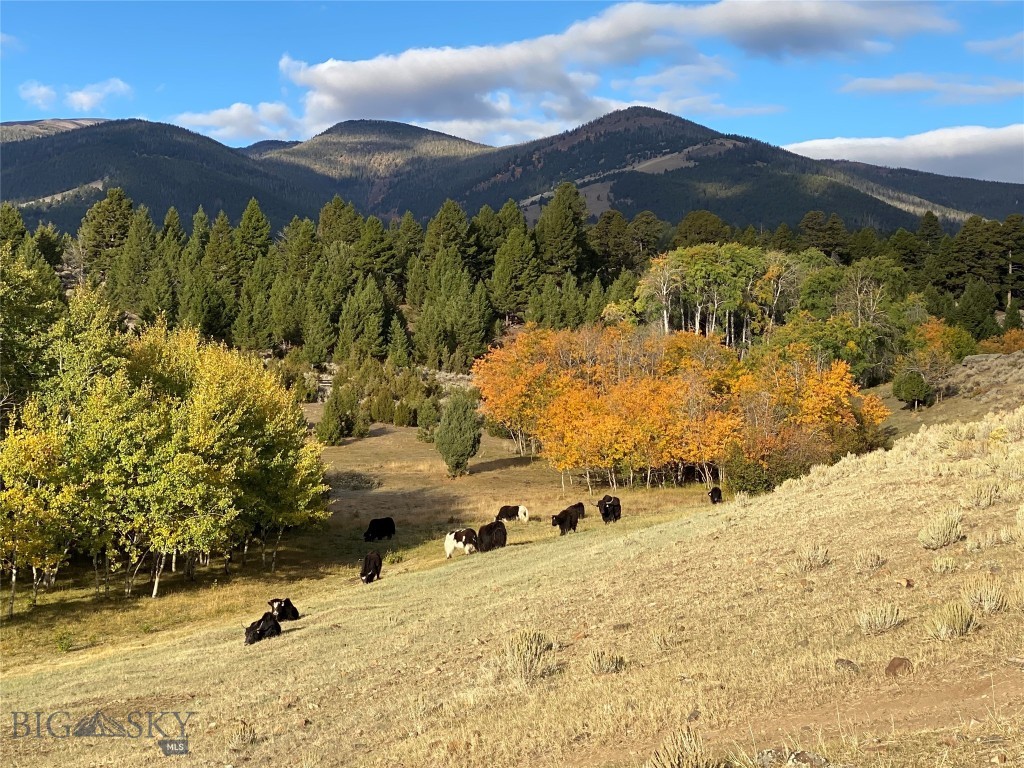 5845 Dry Creek Ranch Road, Whitehall