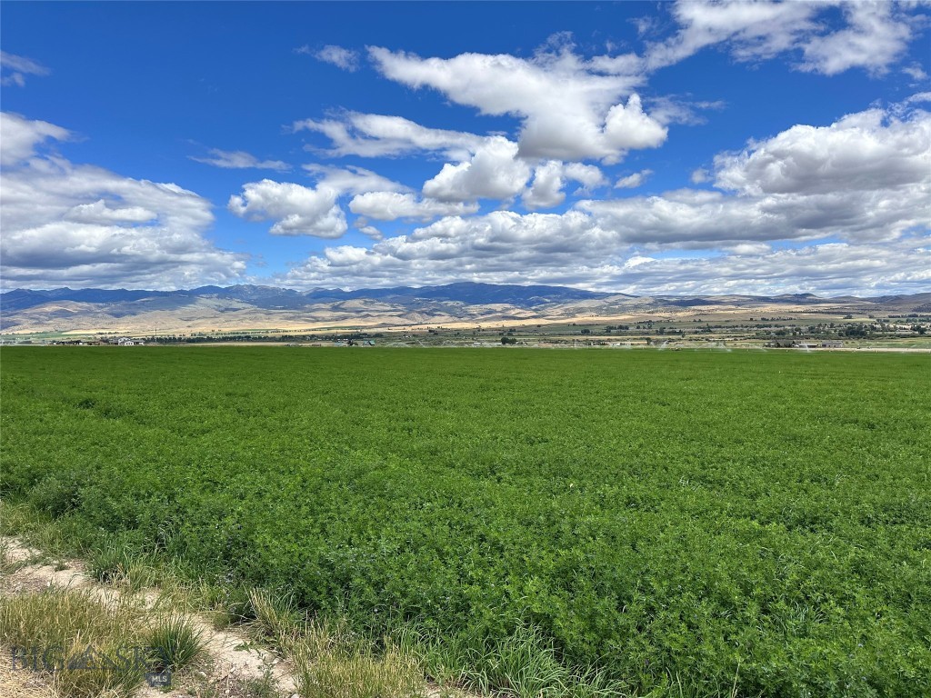 Lot 1A Spring Canyon RD, Alder