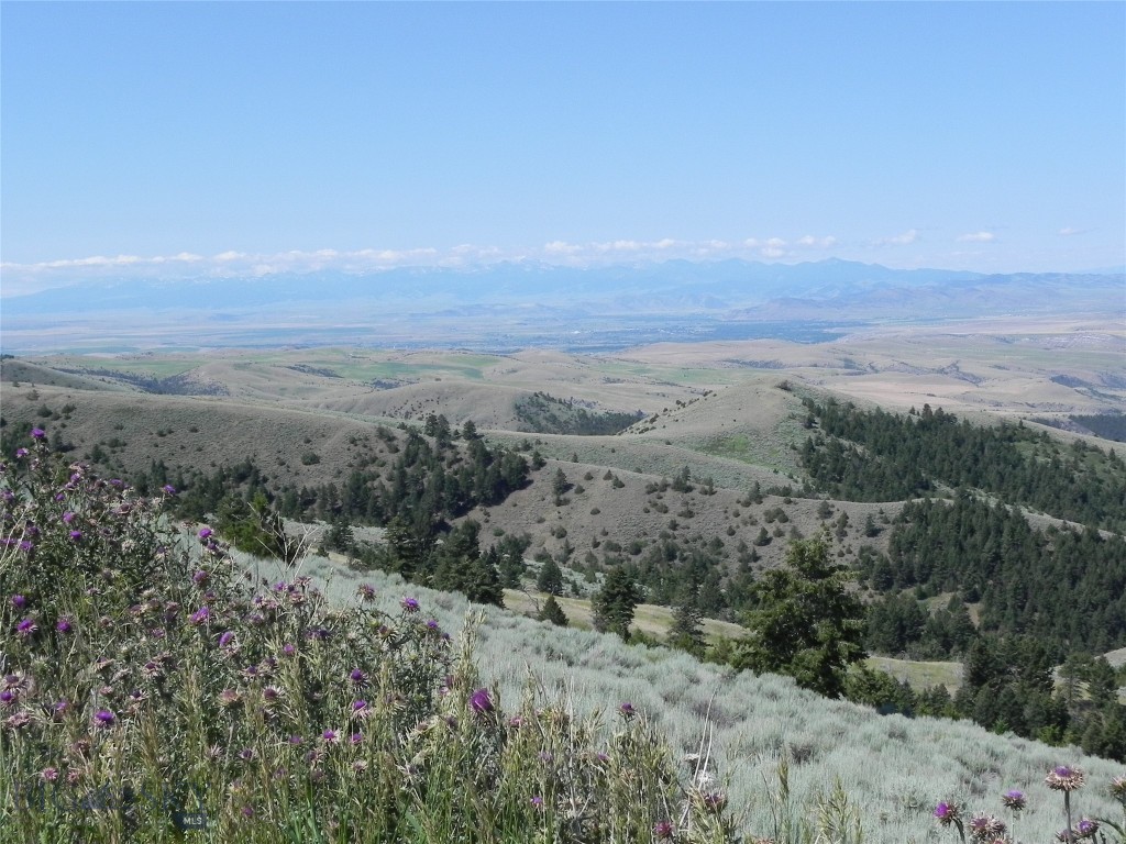 Lot 358 Pole Gulch, Three Forks