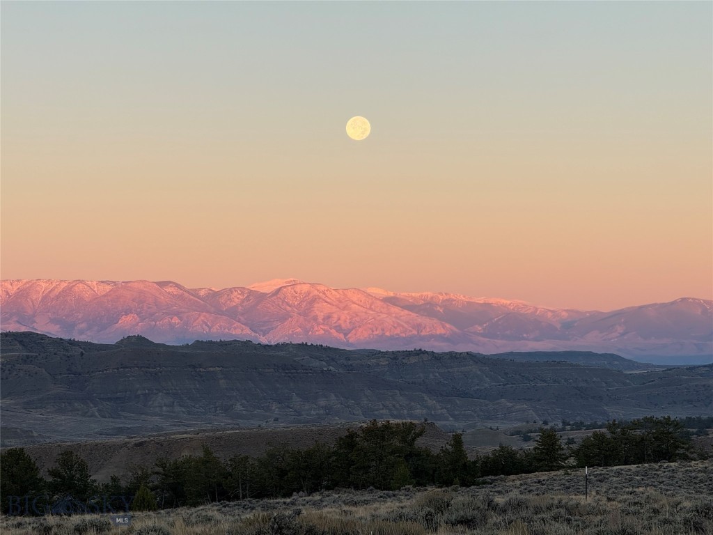 nhn Cottonwood Road, Bridger